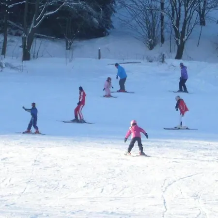 In Der Naehe Des Skigebietes * Willingen (Upland)