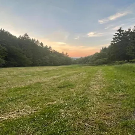 In Der Naehe Des Skigebietes *