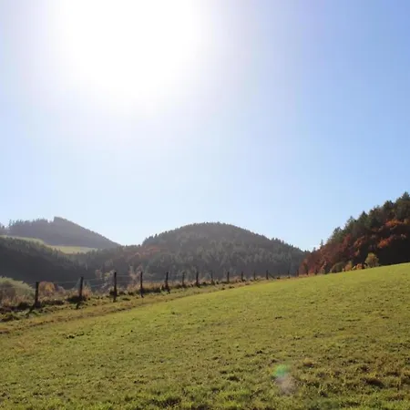 In Der Naehe Des Skigebietes * Willingen (Upland)