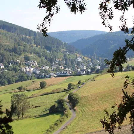 Apartment Holiday Flat In Schwalefeld Near The Ski Area *
