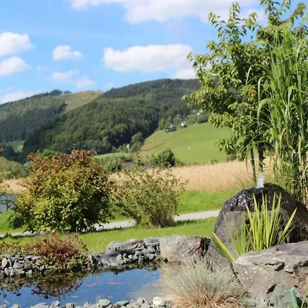 In Der Naehe Des Skigebietes Apartment Willingen (Upland)