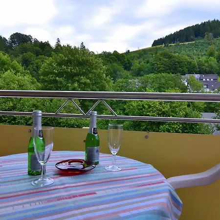 In Der Naehe Des Skigebietes