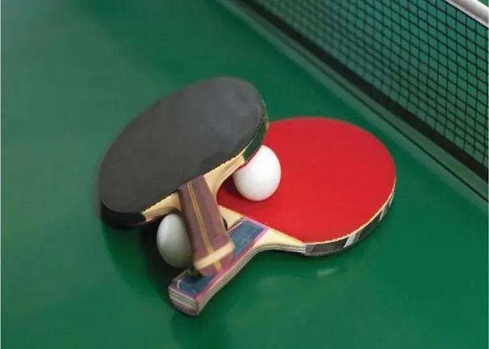 Apartament In Der Naehe Des Skigebietes *