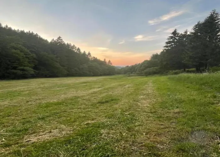 In Der Naehe Des Skigebietes *