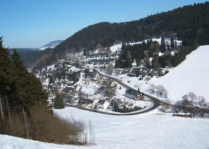 In Der Naehe Des Skigebietes Apartament Willingen (Upland)